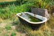 dirty old bath used as drinking basin for animals in garden