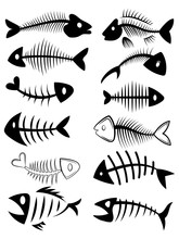 Set Of Silhouettes Of Fish Skeletons. Collection Of Fish Bones. Black And White Vector Illustration. Tattoo.
