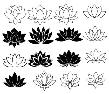 set of stylized lotuses. collection of lotus flowers for a logo. black white vector illustration. ta