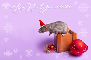 Decorative rat dumbo in a Santa hat in a wooden box on a lilac background. Lettering Happy New Year 2020.