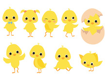 Set Of Cartoon Chicks. A Collection Of Cute Yellow Chicks. Vector Illustration Of Little Chickens For Children.