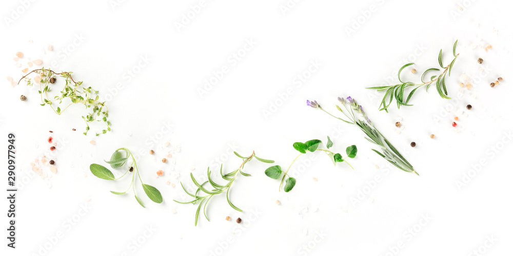 A panorama of culinary aromatic herbs on a white background, a flat lay composition with copy space, a cooking design template - obrazy, fototapety, plakaty 