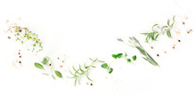 A Panorama Of Culinary Aromatic Herbs On A White Background, A Flat Lay Composition With Copy Space, A Cooking Design Template