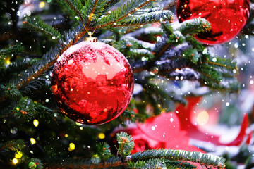 red ball, symbol of christmas and new year.  Bright red balls hanging on fir branches, winter natural snowy background. abstract festive winter holiday background. soft selective focus