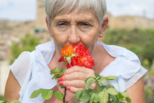 Older Woman With White Hair Smelling A Red Rose At Looking At Camera