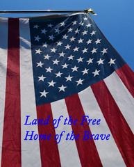 Sticker - Land of the Free, Home of the Brave