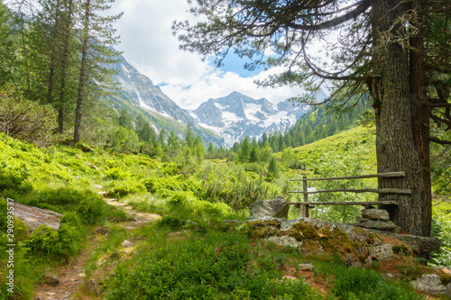 Fotografie, Obraz  Rastbank am Wegrand im Zillertal