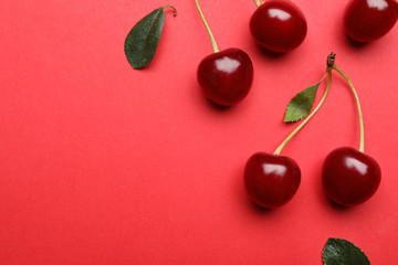 Tasty ripe cherries with leaves on red background, flat lay. Space for text