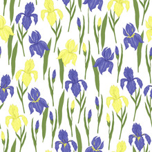 Seamless Pattern, Endless Template Of Hand Drawn Flower Blue And Yellow Iris With Leaves Vector Illustration