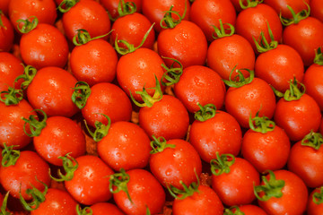 ripe juicy red cherry tomatoes with leaves