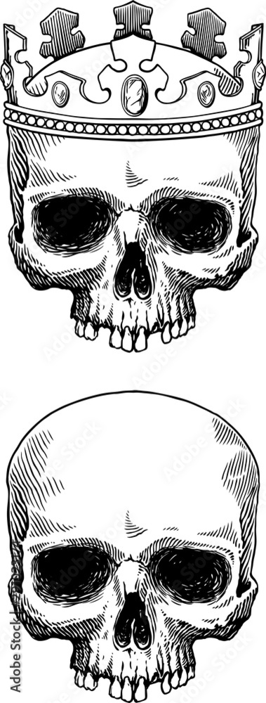 Black and white vector illustration of skull in crown and skull ...