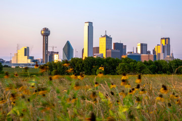 Wall Mural - Dallas skyline at twilight