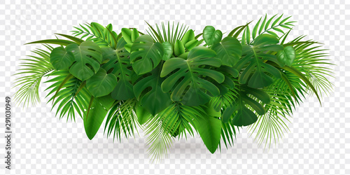 Fotomural Tropical Leaves Bush Composition