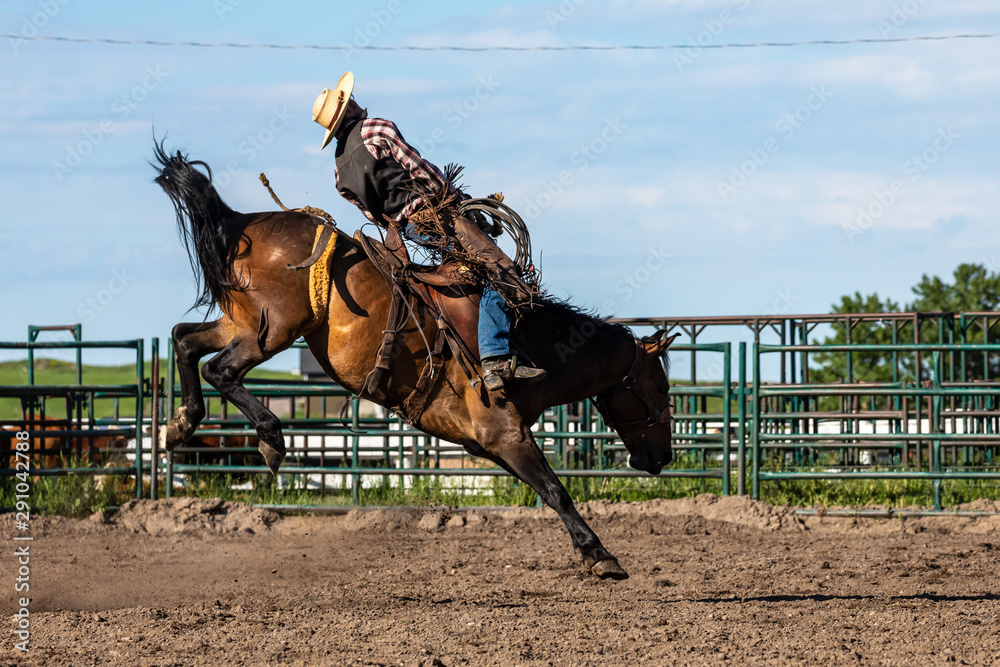 Rodeo Bronco Riding in Canada Stock Photo | Adobe Stock