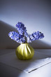 Three purple hyacinths in yellow vase on table cloth