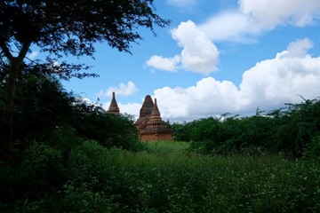 Wall Mural - distant view of several ancient pagodas under blue sky white clouds. Green grass and trees foreground.In Bagan Myanmar