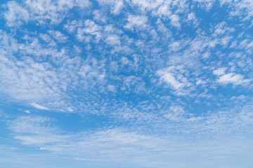 Poster - blue sky with white clouds