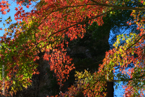 妙義山の第一石門とイロハモミジの紅葉 Buy This Stock Photo And Explore Similar Images At Adobe Stock Adobe Stock