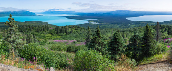 Wall Mural - panoramic summer landscape with wildflowers, lakes and mountains.