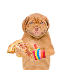 Poster - Smiling puppy holding pizza. isolated on white background