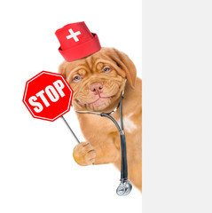 Poster - Smiling puppy in medical hat with a stethoscope on his neck and sign stop in paw behind white banner. isolated on white background