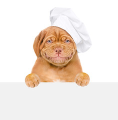 Poster - Smiling dog in chef's hat above empty white banner. isolated on white background