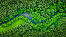 River And Green Forest In Tuchola Natural Park, Aerial View