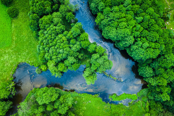 Wall Mural - Green forest and river, aerial view of Tuchola national park