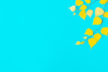 Poster - autumn yellow leaves on blue background