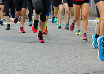 Wall Mural - runners take part in a road marathon