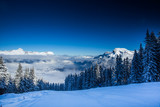 Fototapeta Na ścianę - Beautiful view of mountains and snowy fir trees in wintertime.