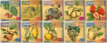 Set Of Hand Drawn Fresh Fruits Illustration For Retro Poster. Apple, Lemon, Strawberry, Peach.