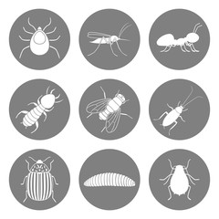 Wall Mural - Set of insect icons. Pest symbols. Vector.