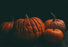Pumpkin Free Stock Photo - Public Domain Pictures