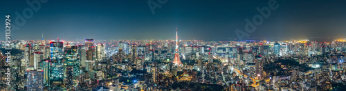 Cityscape of Tokyo skyline, panorama aerial skyscrapers view of office building and downtown in Tokyo in the evening Wallpaper Mural