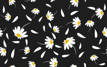 Seamless Pattern White Daisies On A Black Background