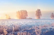 Sunny winter morning. Beautiful winter scene in frosty morning. Winter morning sunrise. Trees on snowy meadow in frost