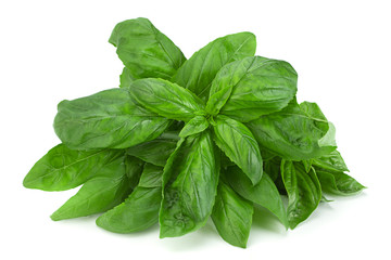 Wall Mural - Green basil herb isolated