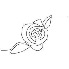 Wall Mural - continuous line drawing of rose flower minimalism design isolated on white background