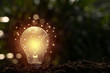 brain glowing of light bulb on soil and light bokeh background.Creative and inspiration.Innovative technology.Energy and environmental concepts.