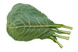 Collard Greens (Brassica oleracea)