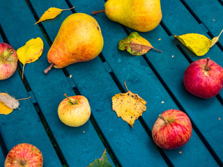 Wall Mural - fresh apples and pears in autumn season, yellow and green leaves on garden table