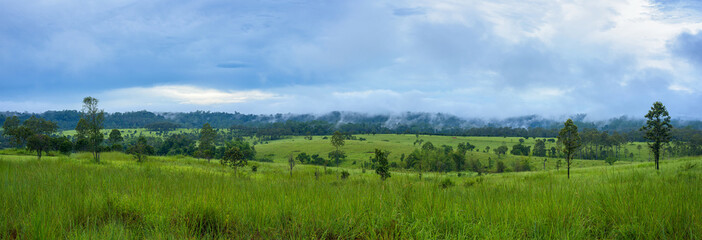 Wall Mural - Panoramic landscape and mountains national park, Thailand.