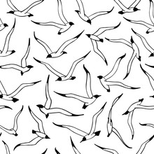 Seagulls. Seamless Black White Pattern With Hand Drawn Birds. Repeating Texture, Print For Fabric, Textile. Marine Background With A Linear Drawings.