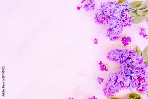 Fresh lilac flowers