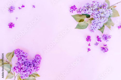 Fresh lilac flowers