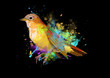 Watercolor Nightingale bird Drawing