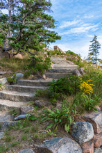 Old Stone Stairs In The Park