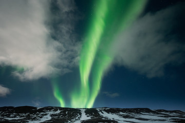 Wall Mural - Northern lights aurora borealis