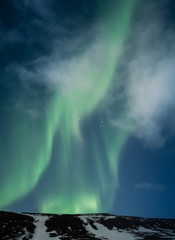 Wall Mural - Northern lights aurora borealis